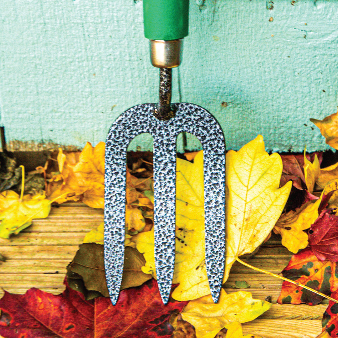 Green & Grey Carbon Steel Garden Hand Fork