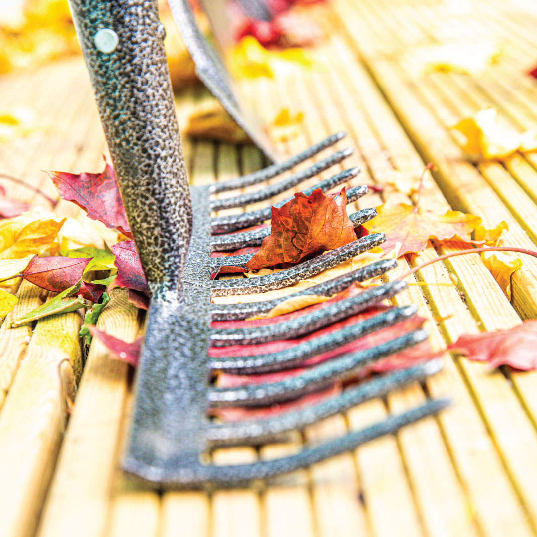 Green & Grey Carbon Steel Garden Rake